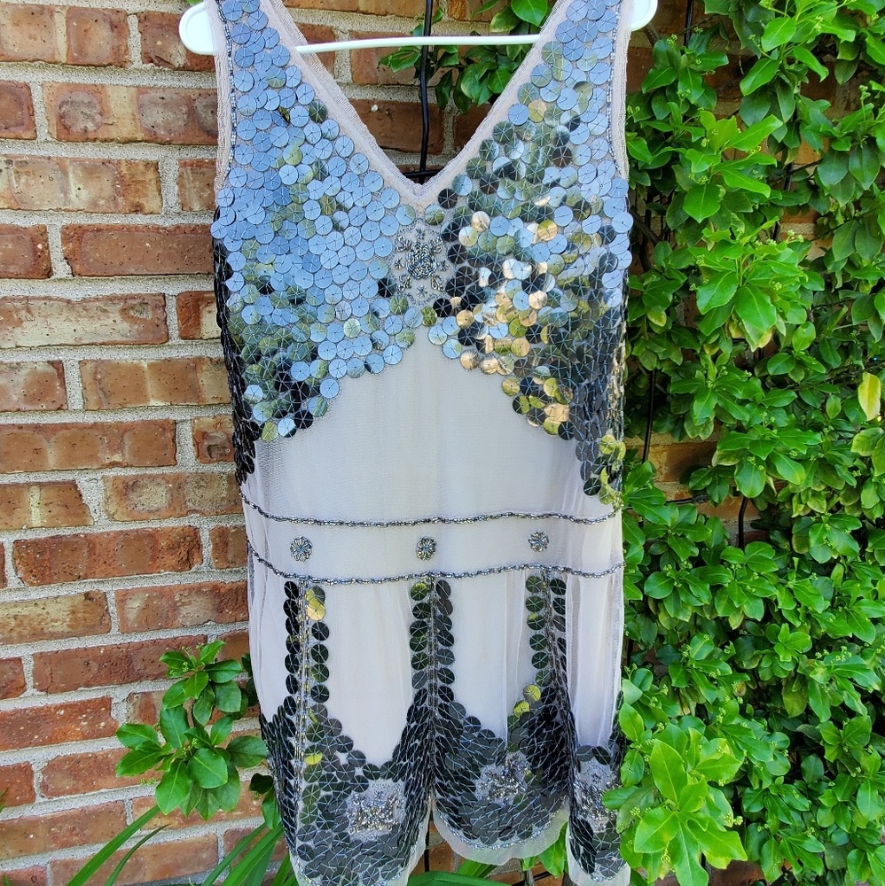 Anna Sui silk-tulle metallic embellished dress 6